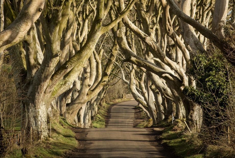 Game of Thrones 8 Days Self-Drive Tour | Ireland