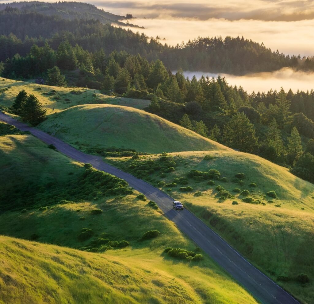 Embrace Solitude: The Joys of Self-Drive Tours for Nature Lovers 6 Embrace Solitude: The Joys of Self-Drive Tours for Nature Lovers