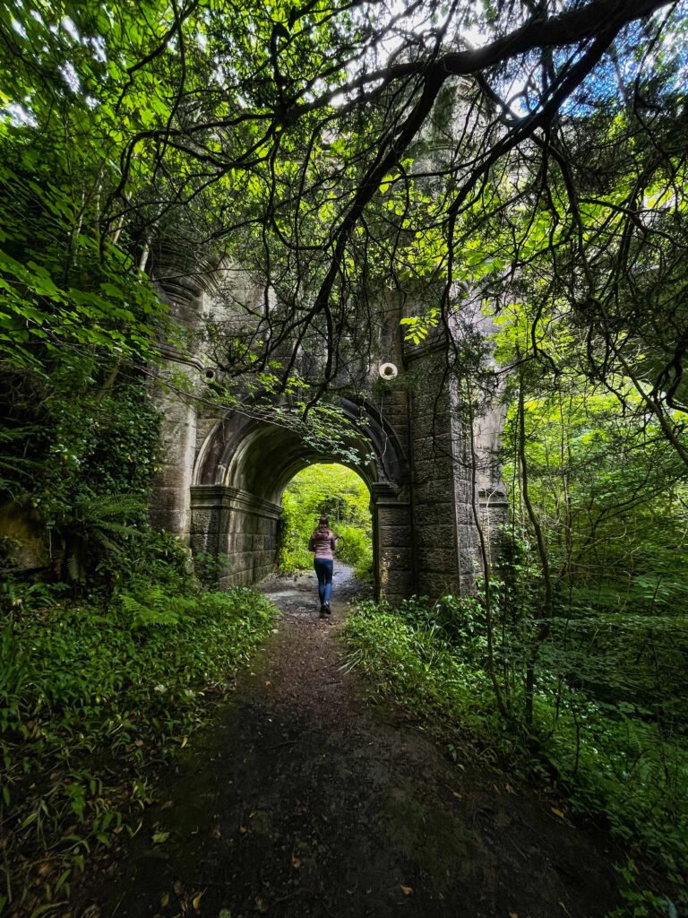 featured image 1763110854 BTOURS