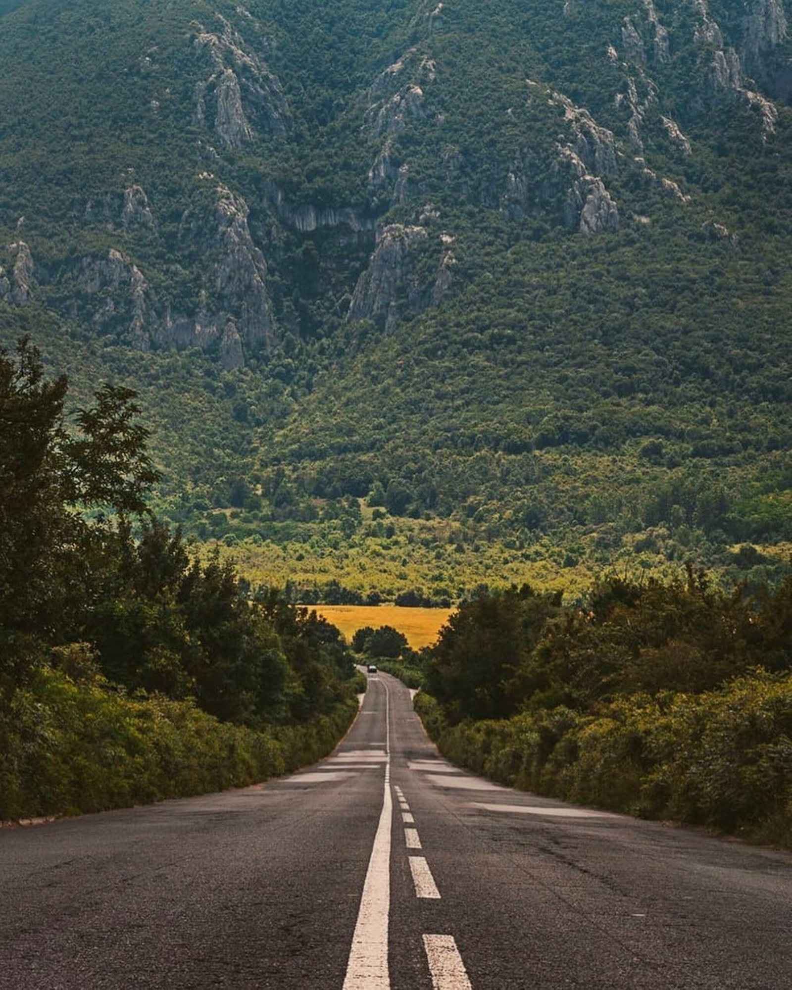 featured image 1765098011 scaled BTOURS