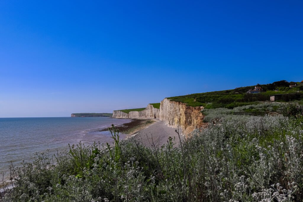 featured image 1765375268 BTOURS