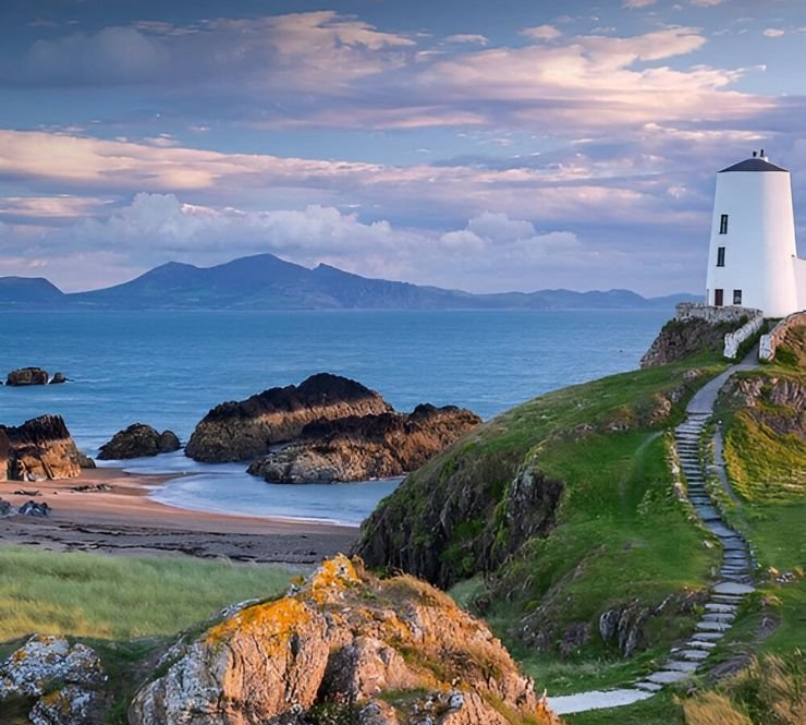 featured image 1769004050 BTOURS