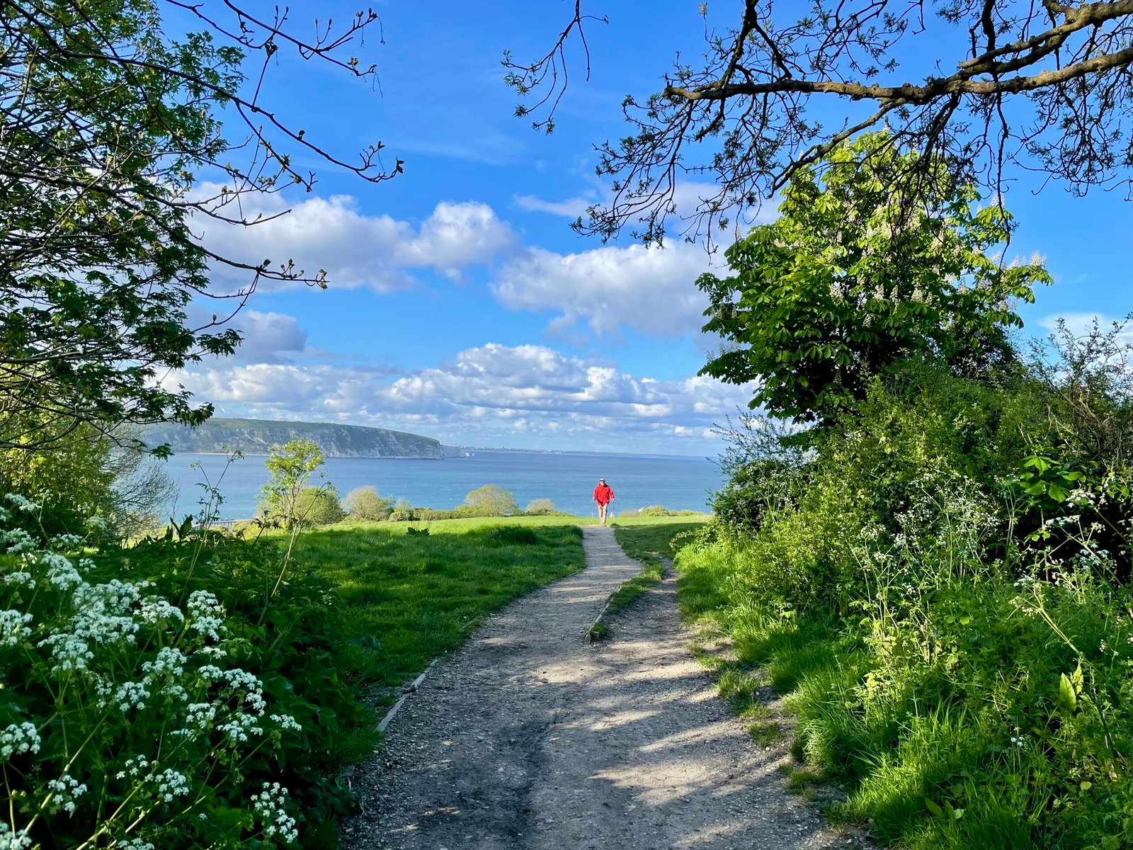 featured image 1773306033 scaled BTOURS