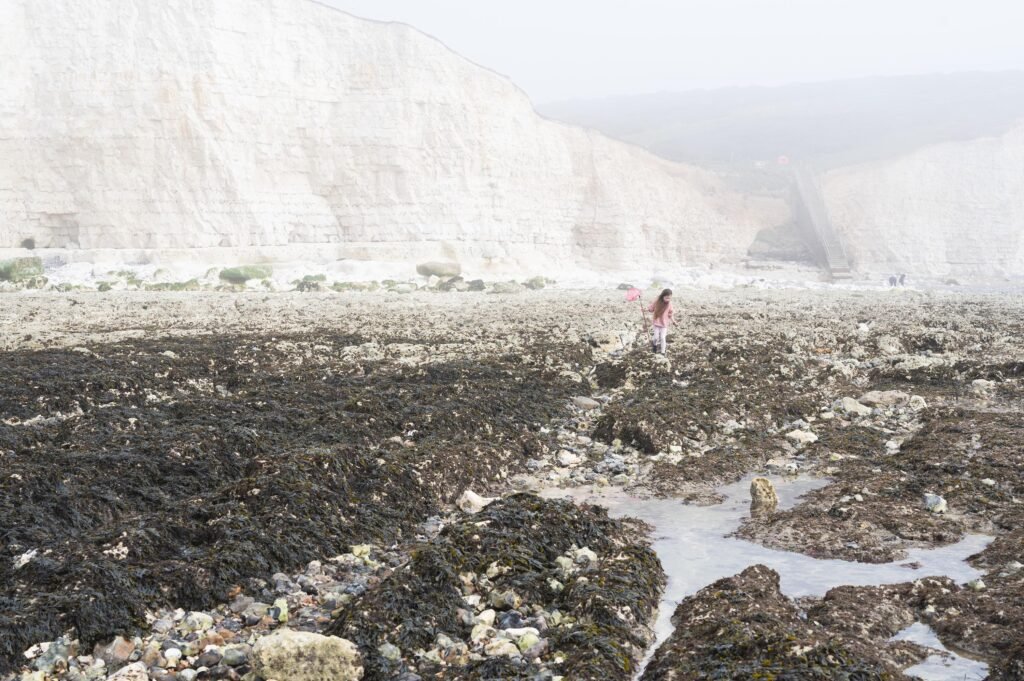 featured image 1777381225 BTOURS